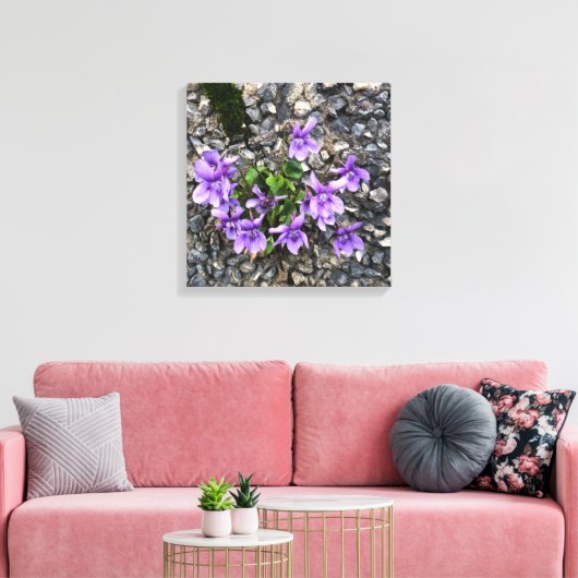 Wilde Viola bloemen groeien uit een ruwe gietwand Canvas Afdruk (Insitu (Woonkamer))