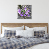 Wilde Viola bloemen groeien uit een ruwe gietwand Canvas Afdruk (Insitu (Slaapkamer))