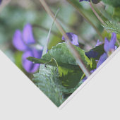 Wilde violetten tissuepapier (Detail)