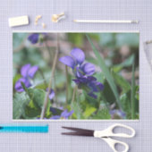 Wilde violetten tissuepapier (Craft)