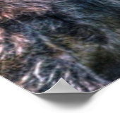 Wilde vlakten Buffalo Wildlife Art Poster (Hoek)