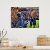 Wilde vlakten Buffalo Wildlife Art Poster (Keuken)