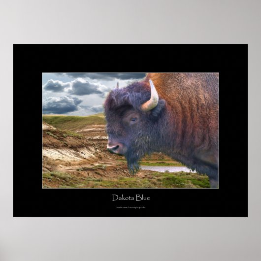 Wilde vlakten Buffalo Wildlife Art Poster (Voorkant)