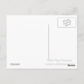 Wilde vlasbloemen 2 briefkaart (Achterkant)