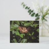 Wilde vlinder in groen blad briefkaart (Staand voorkant)