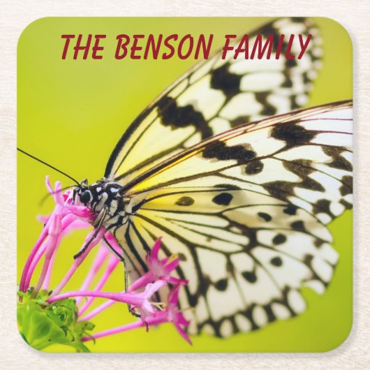 Wilde vlinder sluiten kartonnen onderzetters (Voorkant)