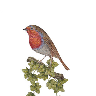 wilde vogel op ivoorblad robin voor kerstmis stropdas