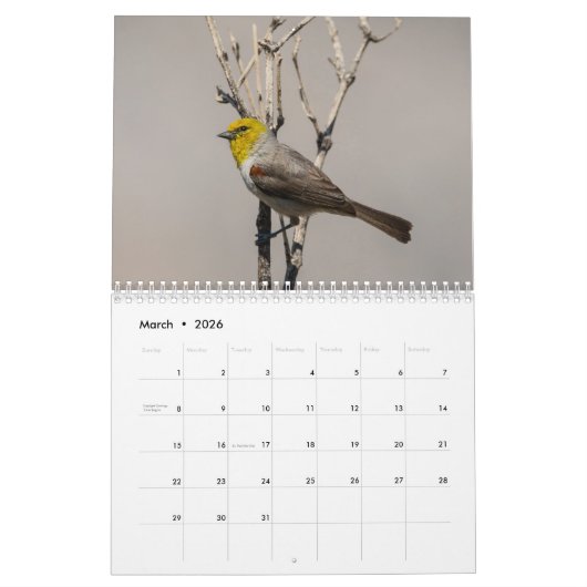 Wilde vogelkalender 2016 kalender (Mar 2026)