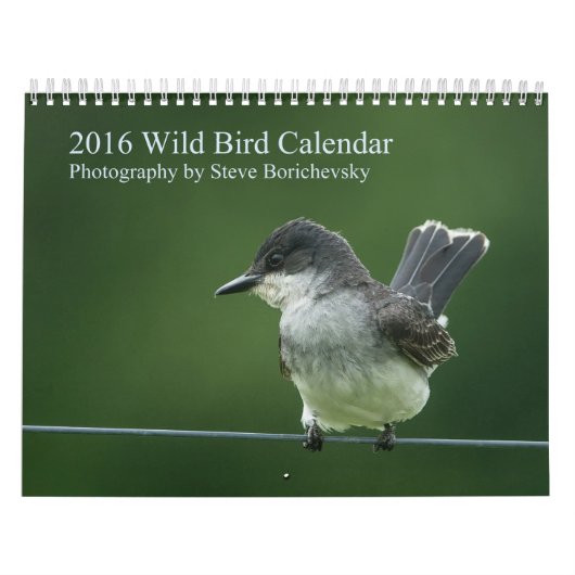 Wilde vogelkalender 2016 kalender (Hoes)