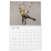 Wilde vogelkalender 2016 kalender (Mar 2027)