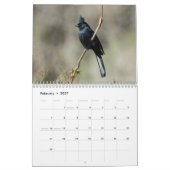 Wilde vogelkalender 2016 kalender (Feb 2027)