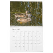 Wilde vogelkalender 2017 kalender (Mar 2026)