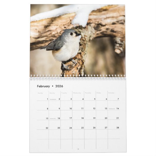 Wilde vogelkalender 2017 kalender (Feb 2026)