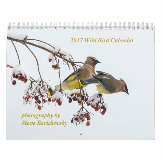 Wilde vogelkalender 2017 kalender (Hoes)