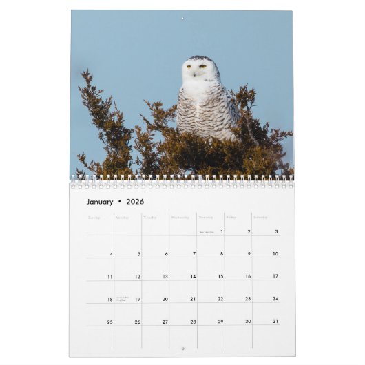 Wilde vogelkalender 2017 kalender (Jan 2026)