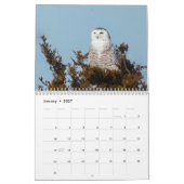 Wilde vogelkalender 2017 kalender (Jan 2027)