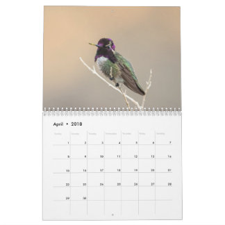 Wilde vogelkalender 2018 kalender