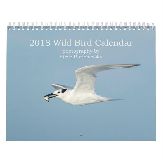 Wilde vogelkalender 2018 kalender (Hoes)