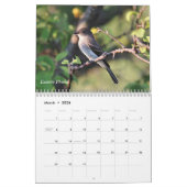Wilde vogels in New England Kalender (Mar 2026)