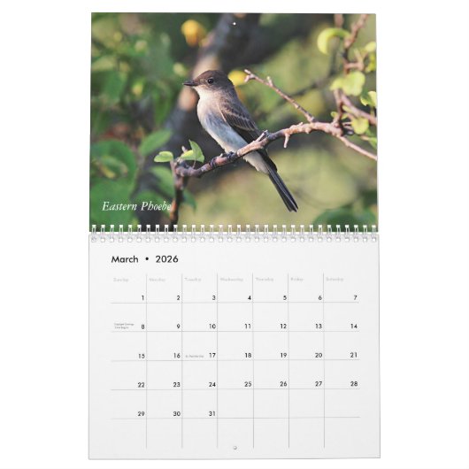 Wilde vogels in New England Kalender (Mar 2026)