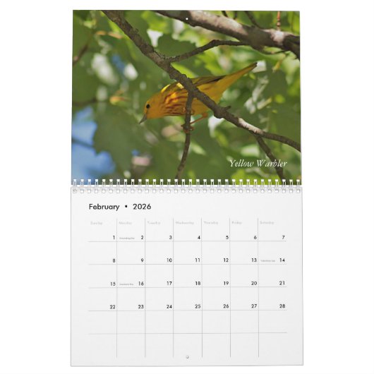 Wilde vogels in New England Kalender (Feb 2026)