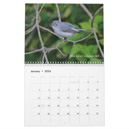 Wilde vogels in New England Kalender (Jan 2026)