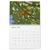 Wilde vogels in New England Kalender (Feb 2027)