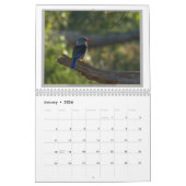 Wilde vogels in Tanzania Kalender (Jan 2026)