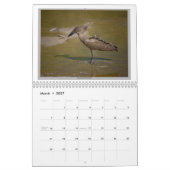 Wilde vogels in Tanzania Kalender (Mar 2027)