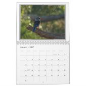 Wilde vogels in Tanzania Kalender (Jan 2027)