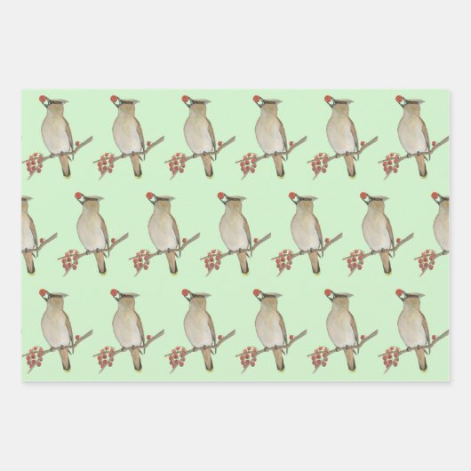 Wilde vogels inpakpapier vel (Voorkant 2)