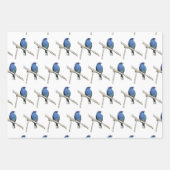 Wilde vogels inpakpapier vel (Voorkant)