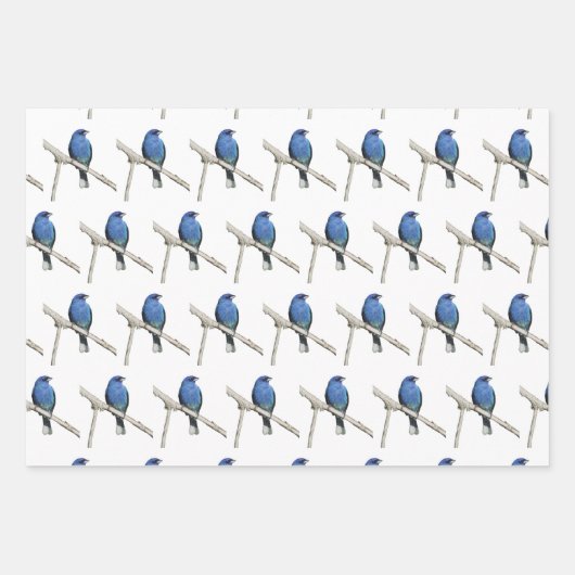 Wilde vogels inpakpapier vel (Voorkant)