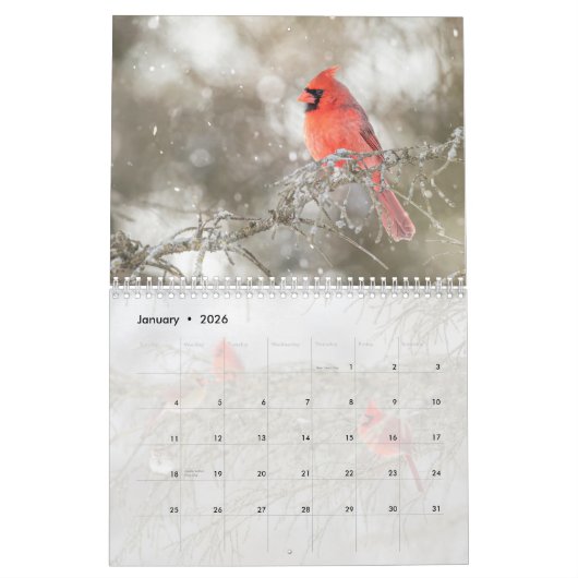 Wilde vogels kalender (Jan 2026)
