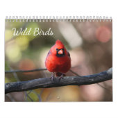 Wilde vogels kalender (Hoes)