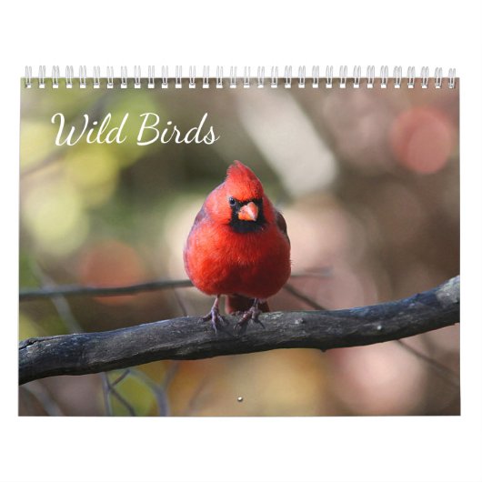 Wilde vogels kalender (Hoes)