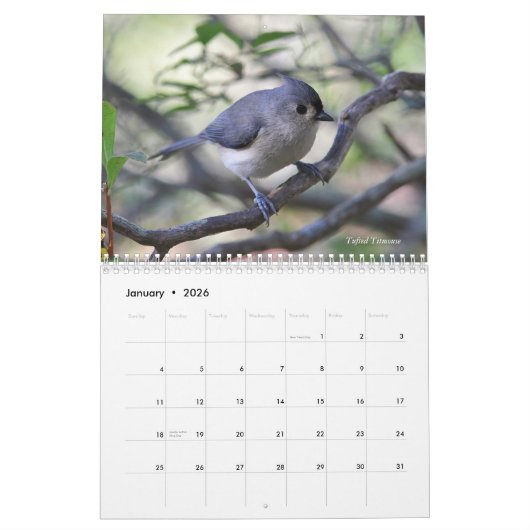 Wilde vogels kalender (Jan 2026)