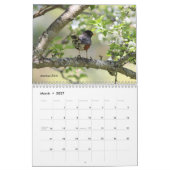 Wilde vogels kalender (Mar 2027)