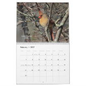 Wilde vogels kalender (Feb 2027)