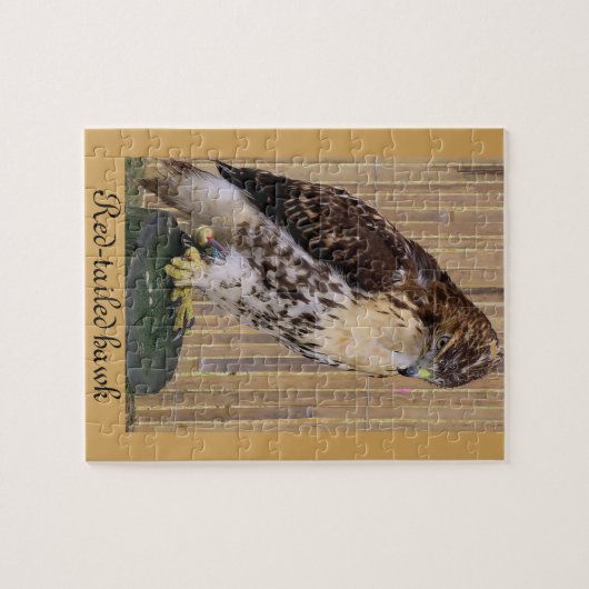 Wilde vogels: Red-Tailed Hawk Legpuzzel (Horizontaal)