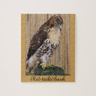 Wilde vogels: Red-Tailed Hawk Legpuzzel