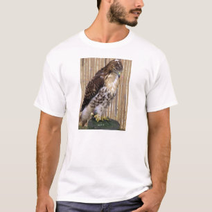 Wilde vogels: Red-Tailed Hawk T-shirt