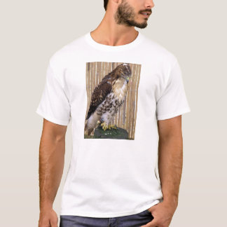 Wilde vogels: Red-Tailed Hawk T-shirt