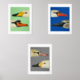 Wilde vogels Soorten zwanen Print Set