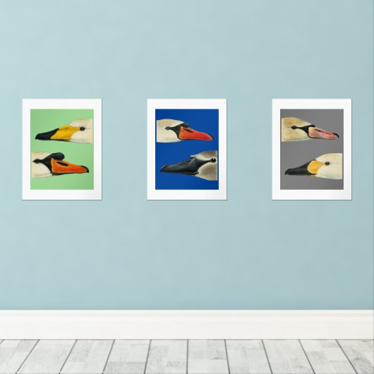 Wilde vogels Soorten zwanen Print Set (Houten vloer)