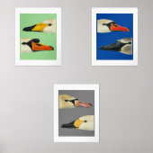 Wilde vogels Soorten zwanen Print Set (Voorkant)