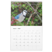 Wilde vogels van Ohio Kalender (Mar 2027)