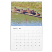 Wilde vogels van Ohio Kalender (Jan 2027)