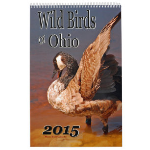 Wilde vogels van Ohio Kalender