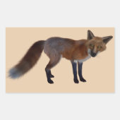 Wilde vos stickers (Voorkant)